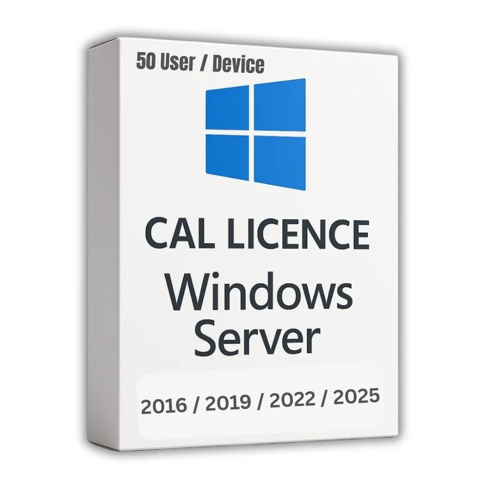 Windows Server CAL License